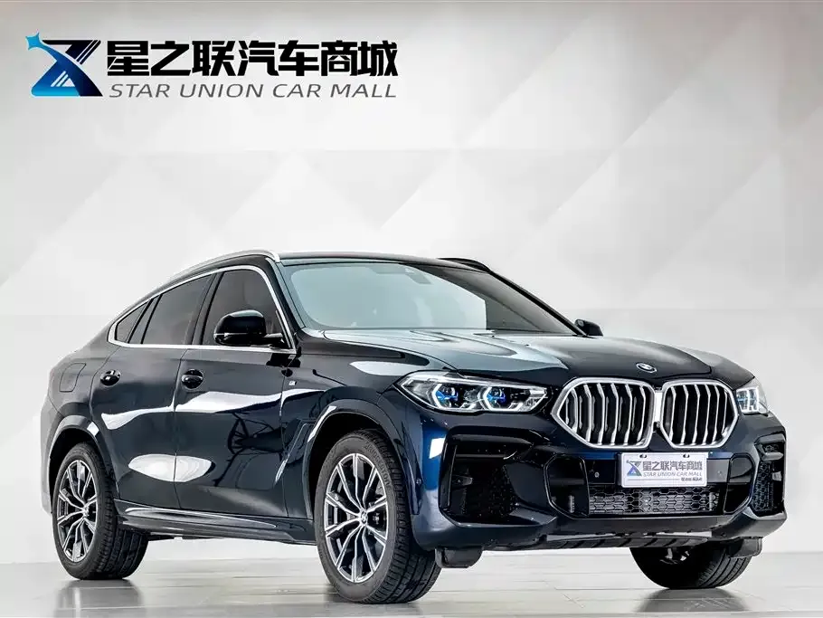 BMW X6 — фото 8