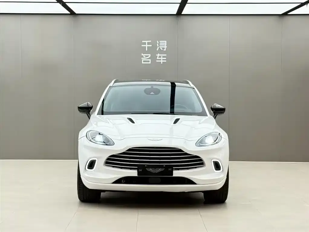 Aston Martin DBX 2021 из CN, фото 6