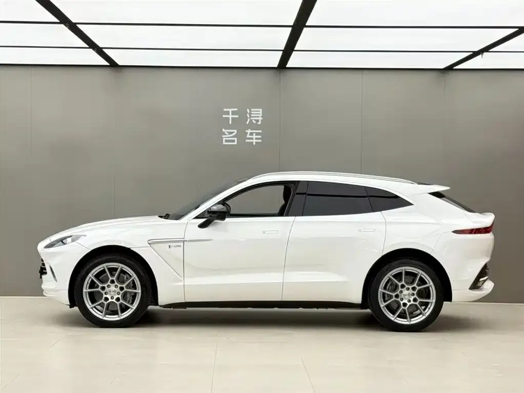 Aston Martin DBX 2021 из CN, фото 2
