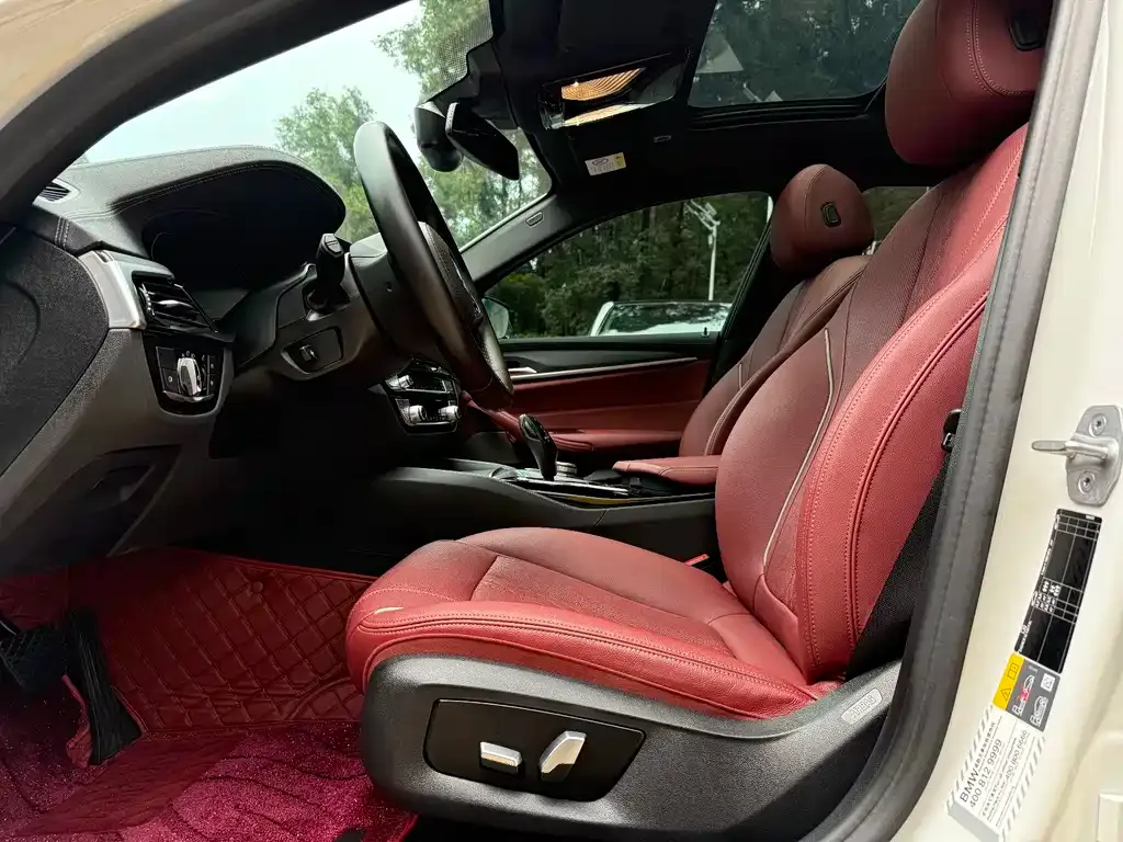 BMW 5 Series New Energy 2021 из CN, фото 2