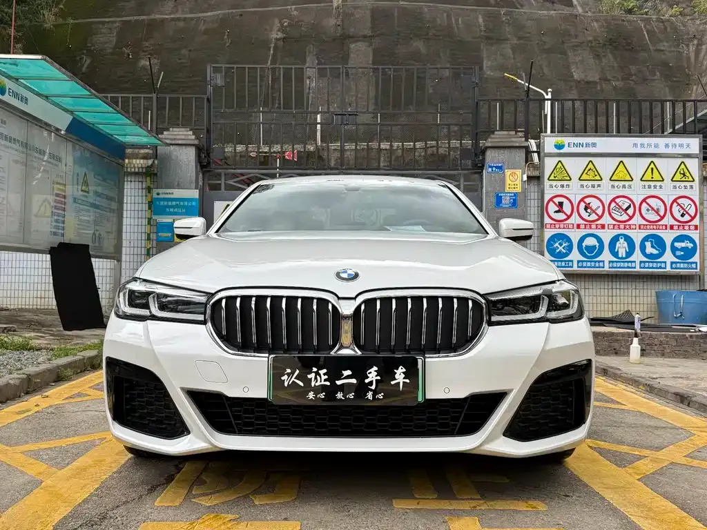 BMW 5 Series New Energy 2021 из CN, фото 7