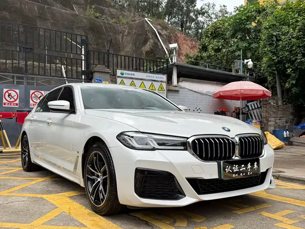 BMW 5 Series New Energy 2021 из CN, фото 9