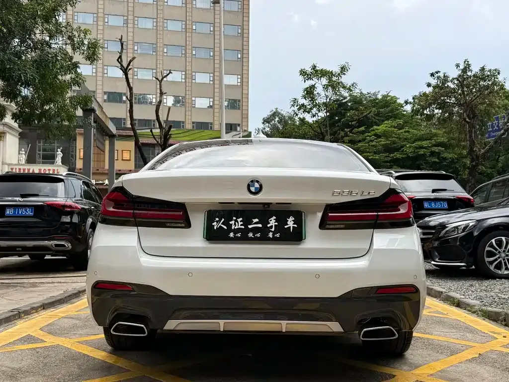 BMW 5 Series New Energy 2021 из CN, фото 10