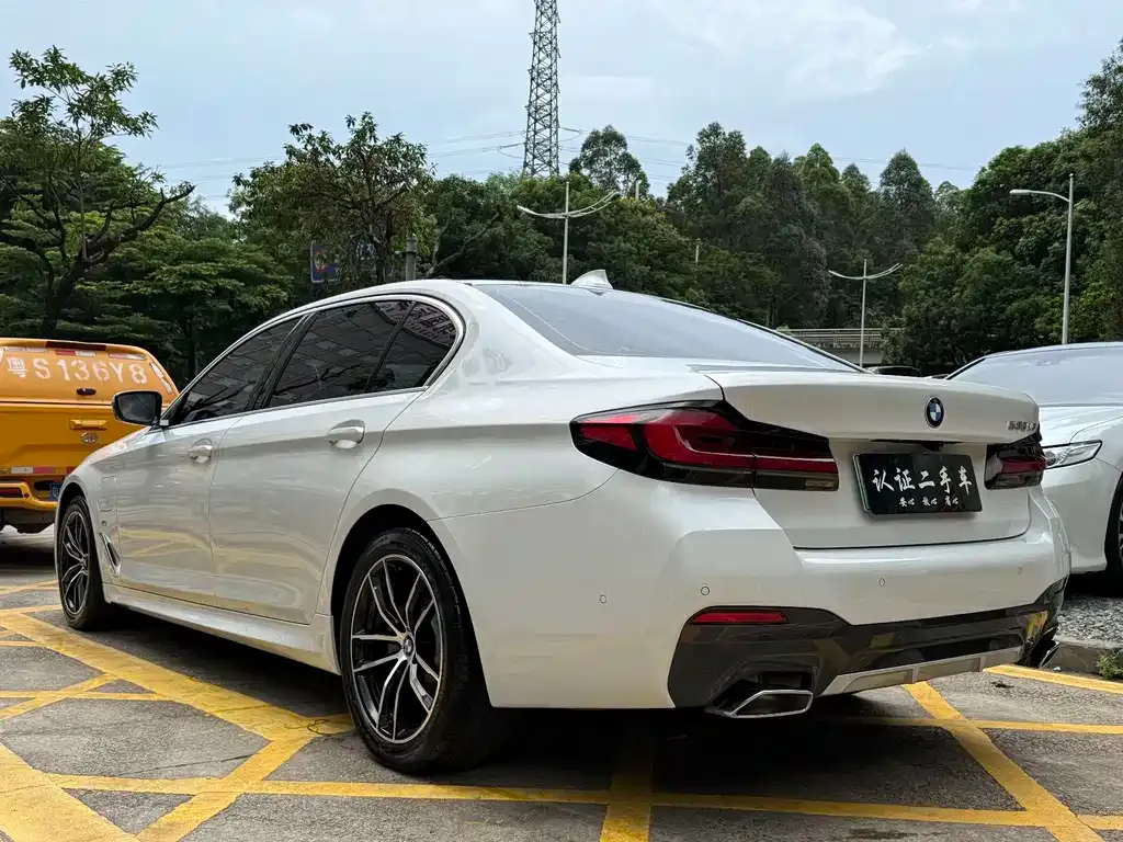BMW 5 Series New Energy 2021 из CN, фото 3