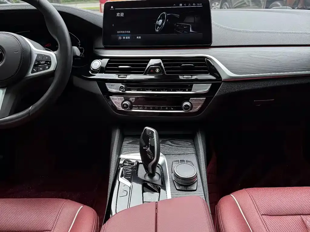 BMW 5 Series New Energy 2021 из CN, фото 5