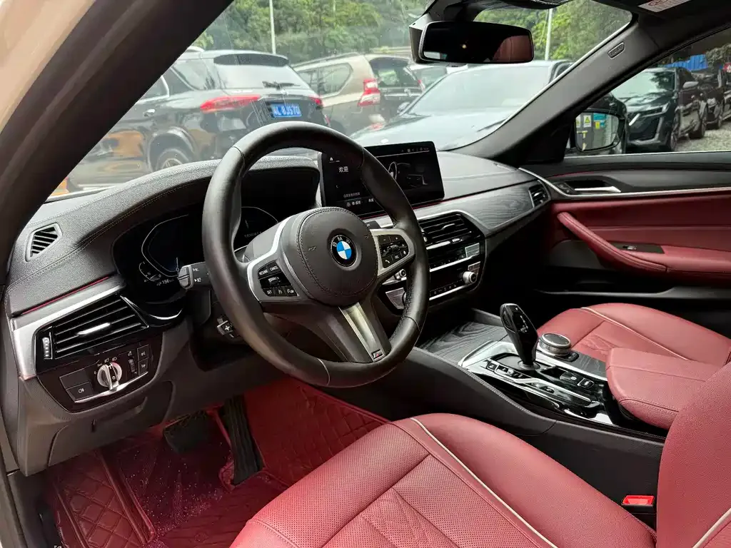 BMW 5 Series New Energy 2021 из CN, фото 6