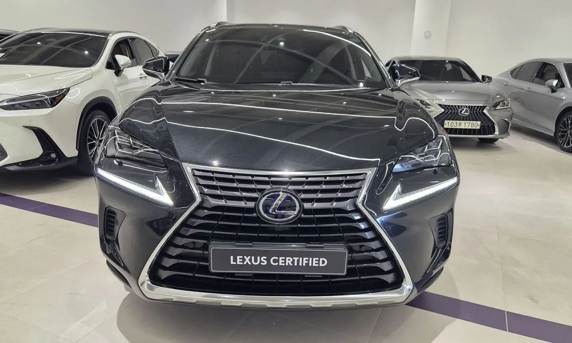 Lexus NX 2021 из KR, фото 9