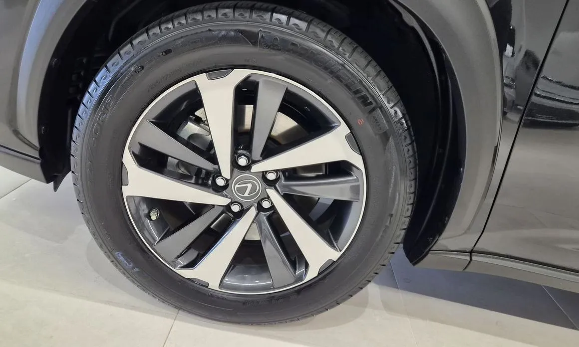 Lexus NX 2021 из KR, фото 10