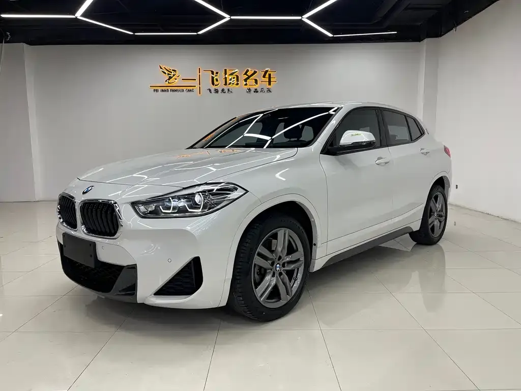 BMW X2 — фото 1