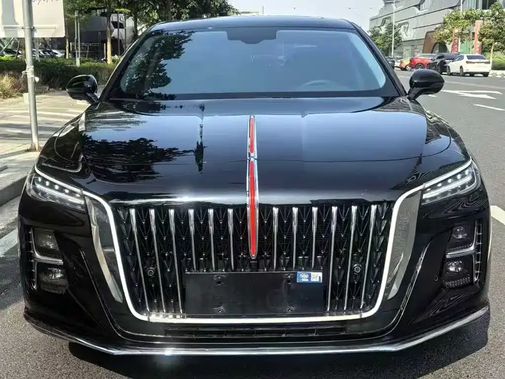 Hongqi H5 2024 из CN, фото 2