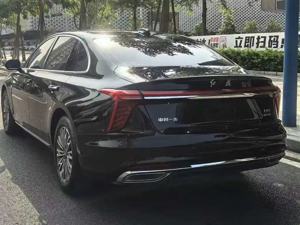 Hongqi H5 2024 из CN, фото 8