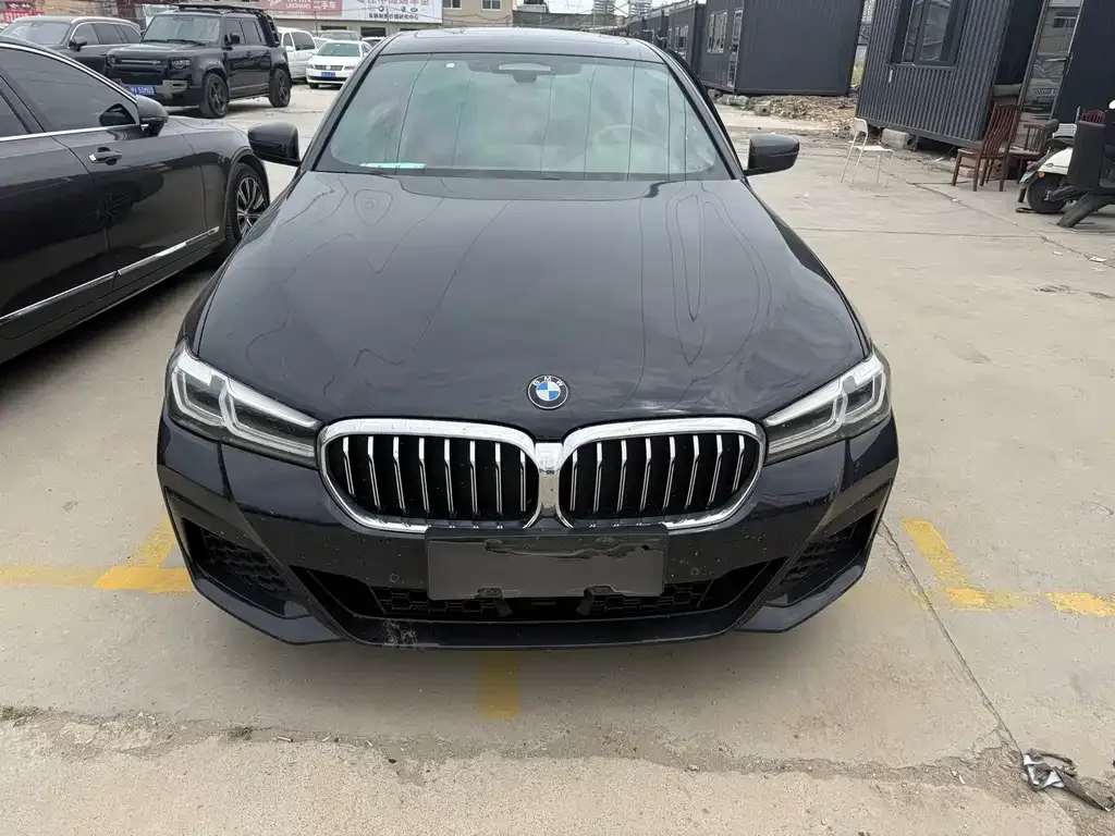 BMW 5 Series New Energy 2021 из CN, фото 3