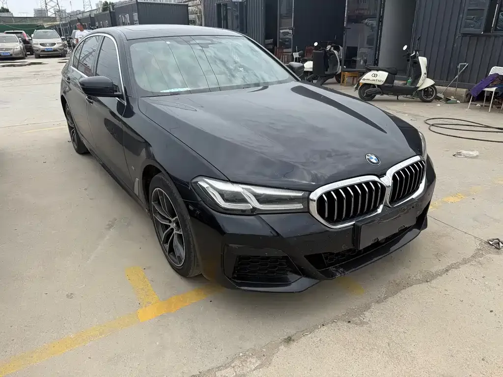 BMW 5 Series New Energy 2021 из CN, фото 5