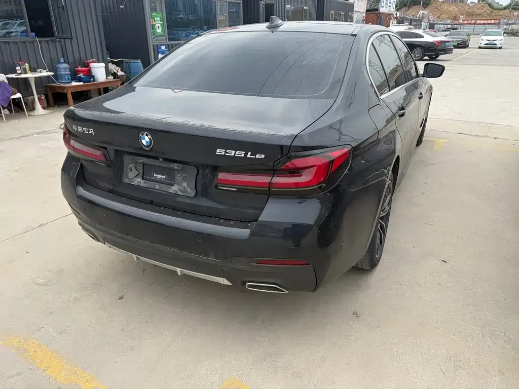 BMW 5 Series New Energy 2021 из CN, фото 7