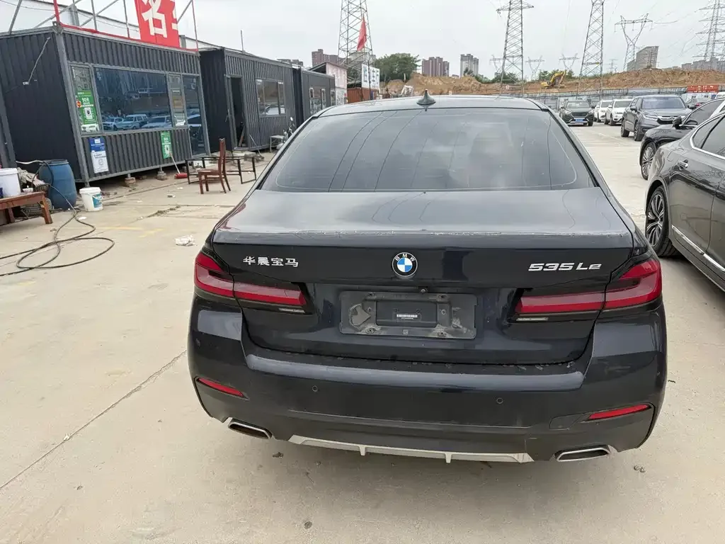 BMW 5 Series New Energy 2021 из CN, фото 6