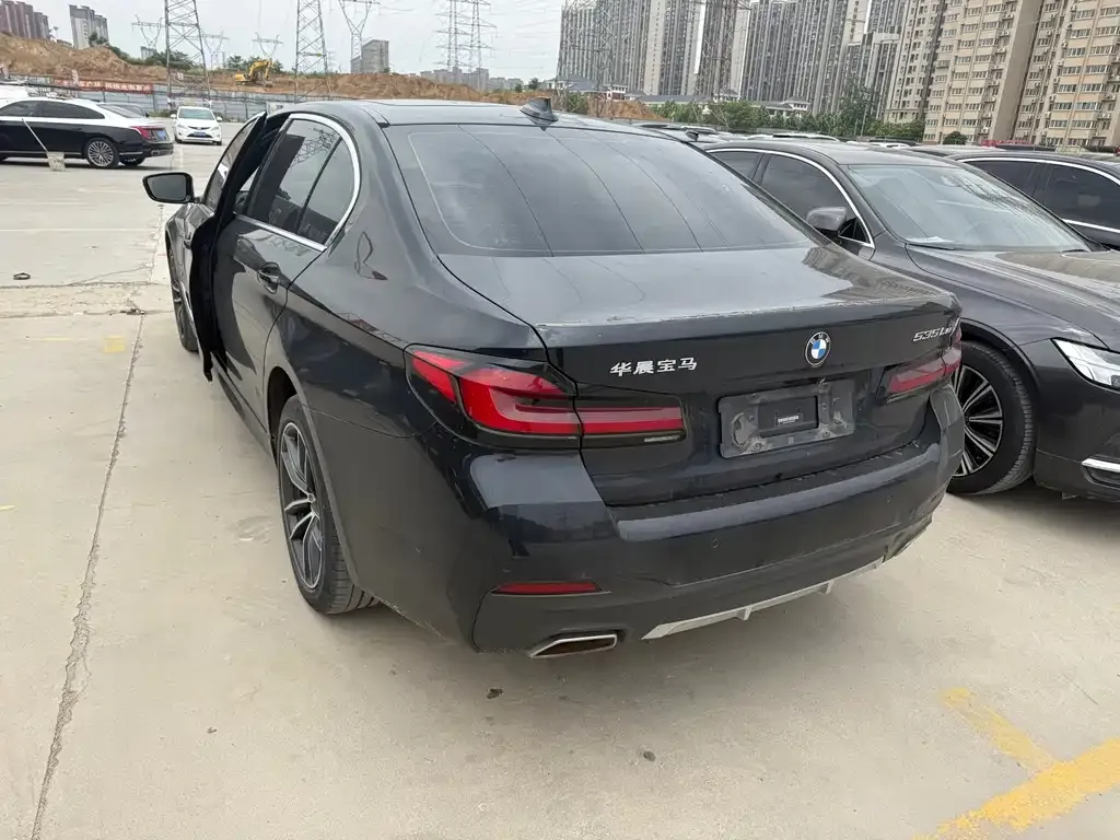 BMW 5 Series New Energy 2021 из CN, фото 8