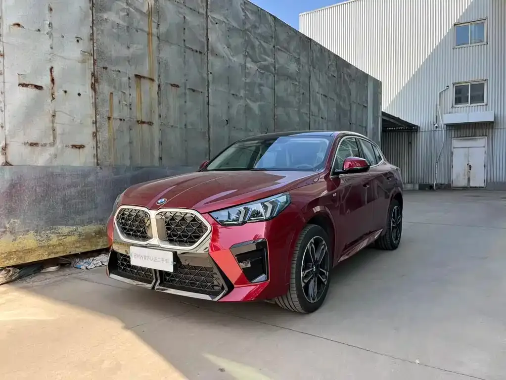 BMW X2 (Import) — фото 1
