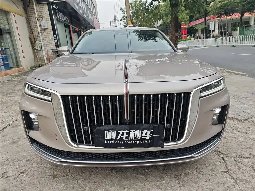 Hongqi H9 2021 из CN, фото 4