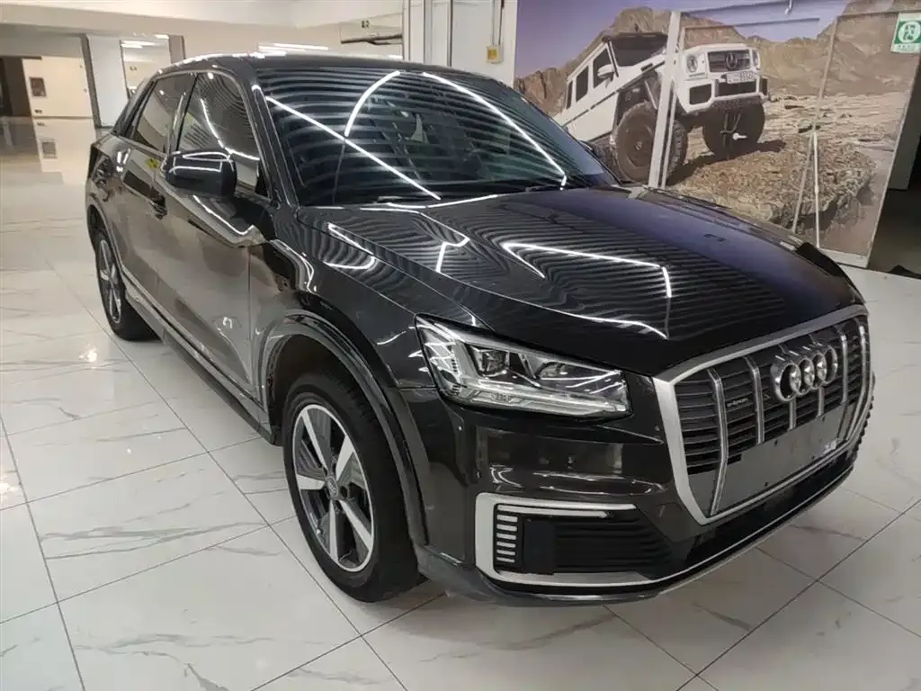 Audi Q2L e-tron 2021 из CN, фото 4
