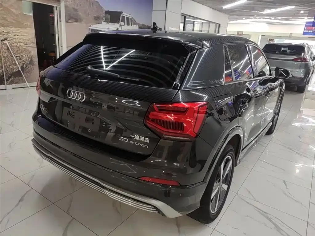 Audi Q2L e-tron 2021 из CN, фото 7