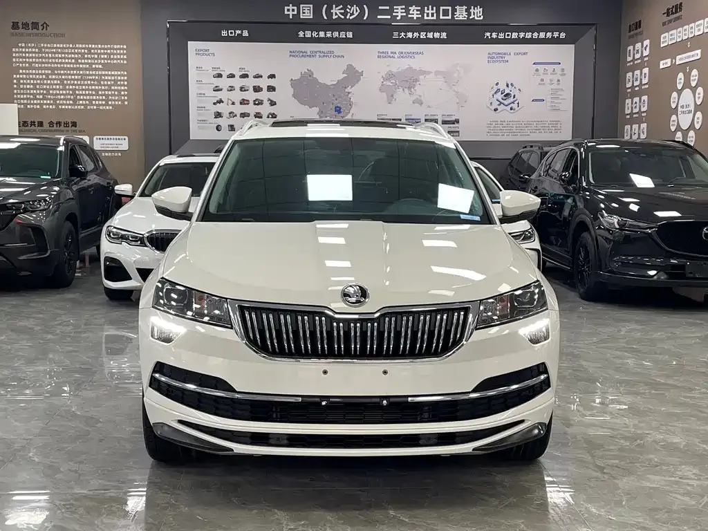 Skoda Karoq 2021 из CN, фото 6
