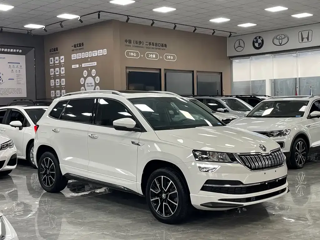 Skoda Karoq 2021 из CN, фото 5