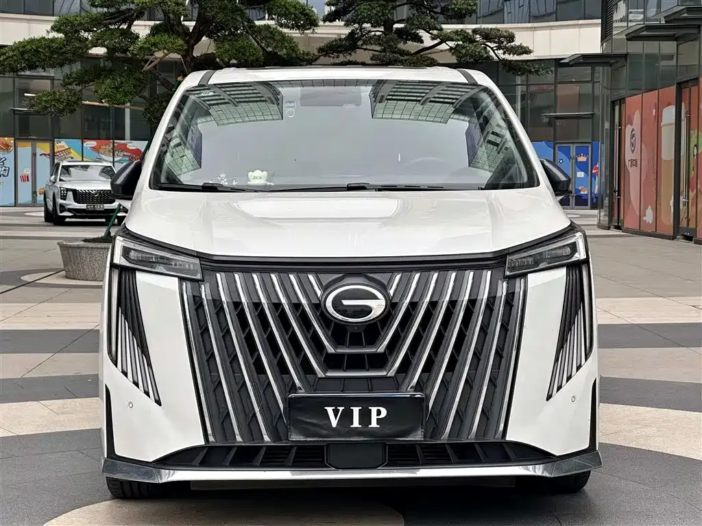 GAC Motor Trumpchi M8 2024 из CN, фото 6