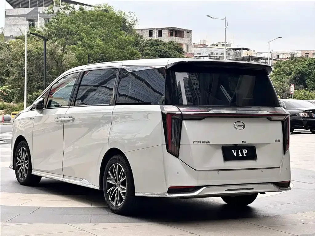 GAC Motor Trumpchi M8 2024 из CN, фото 9