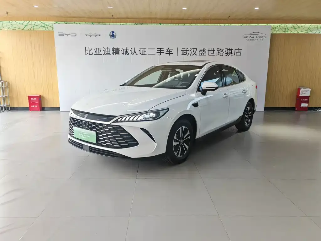 BYD Qin PLUS — фото 1