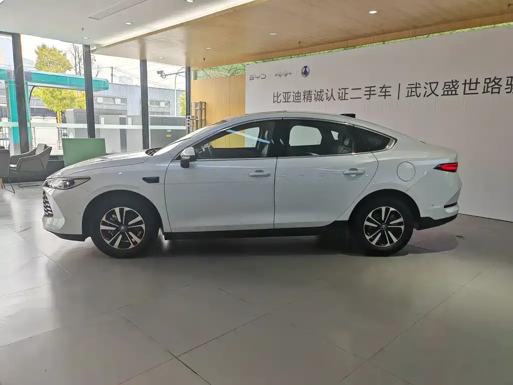 BYD Qin PLUS — фото 5