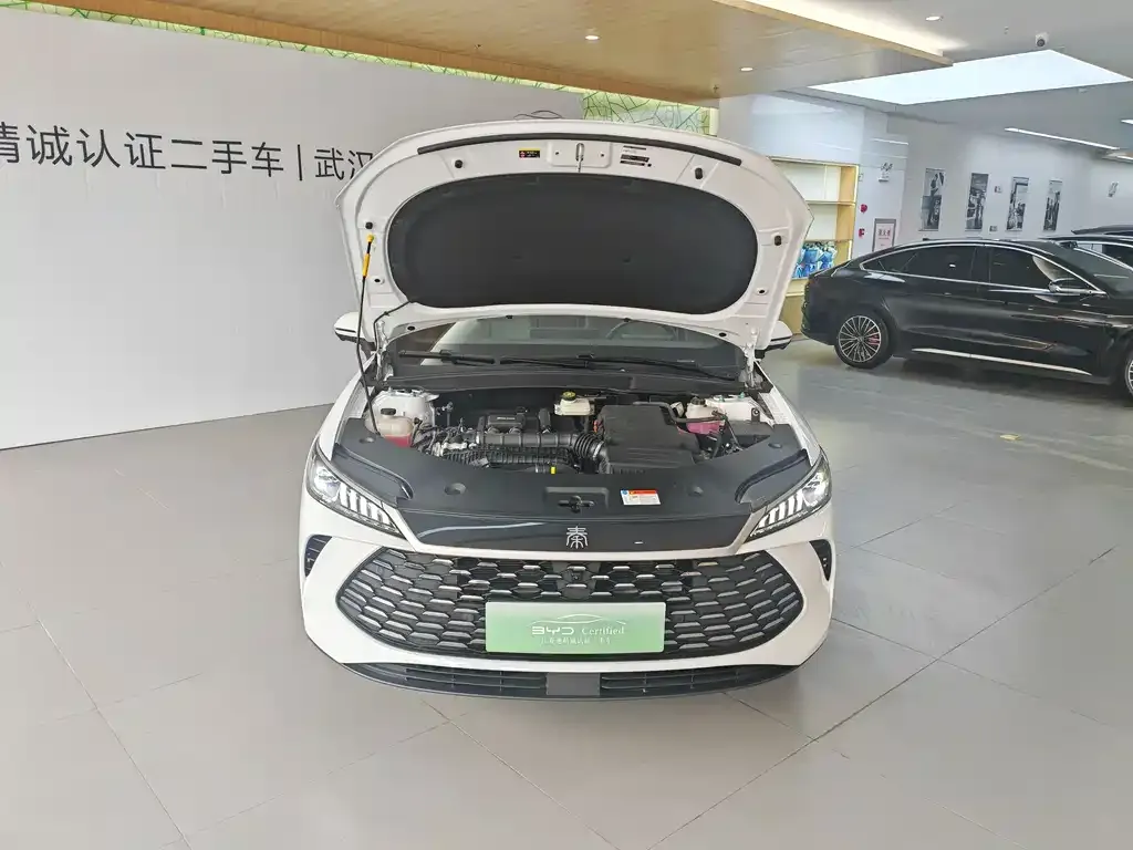 BYD Qin PLUS — фото 7