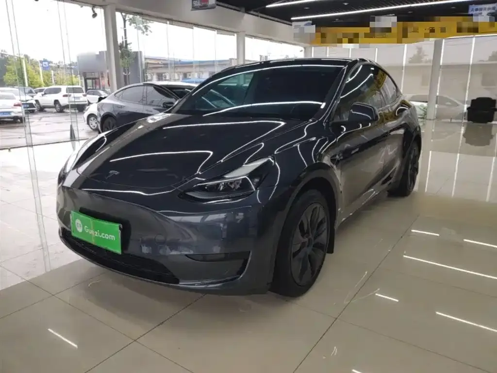 Tesla Model Y — фото 1
