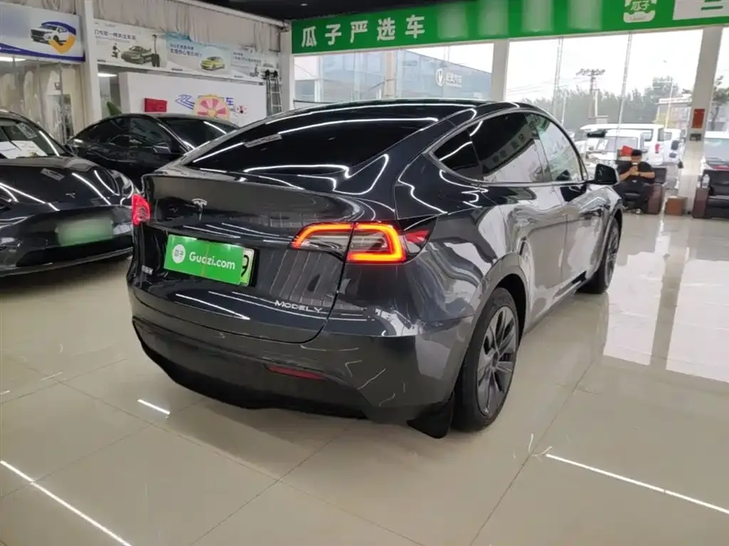 Tesla Model Y — фото 8