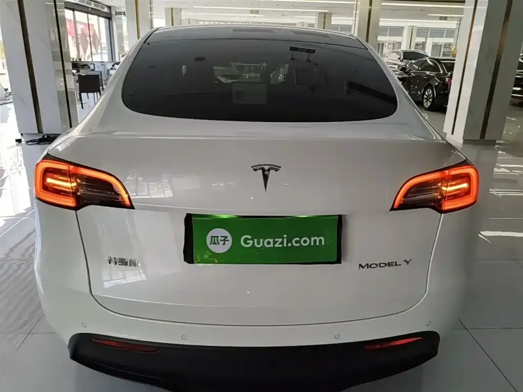 Tesla Model Y 2024 из CN, фото 10