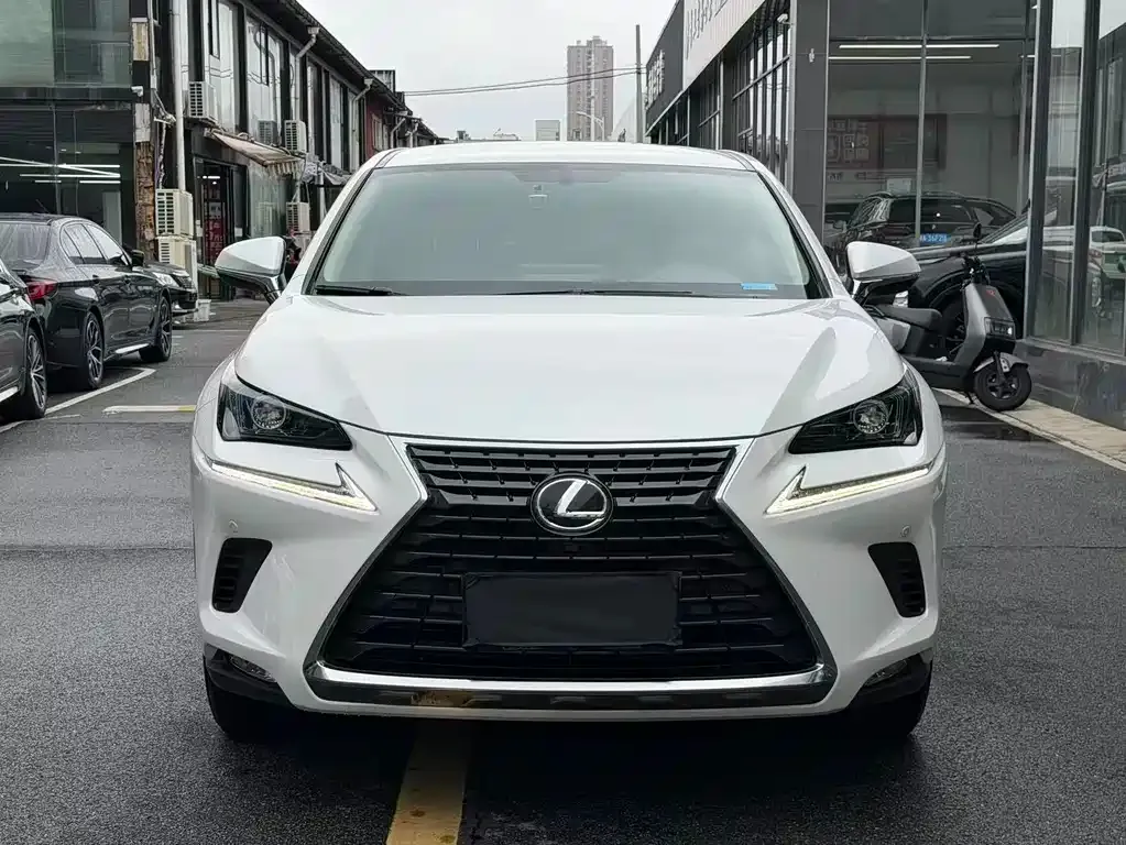 Lexus NX 2021 из CN, фото 9