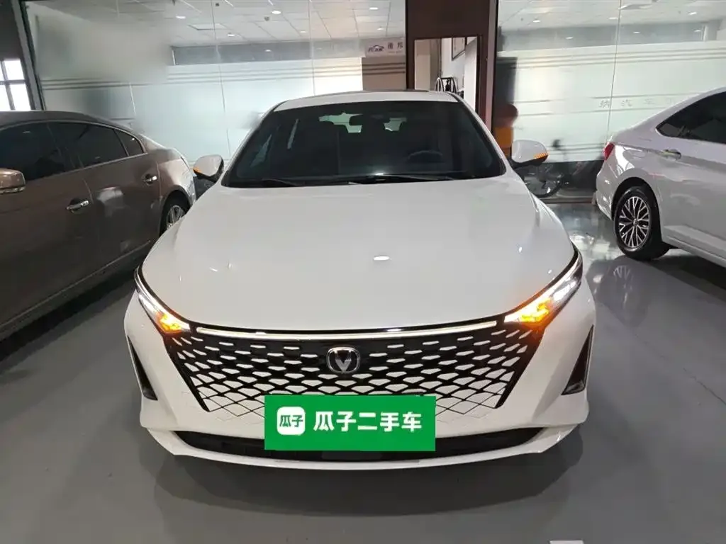 Changan Ruicheng PLUS 2024 из CN, фото 10