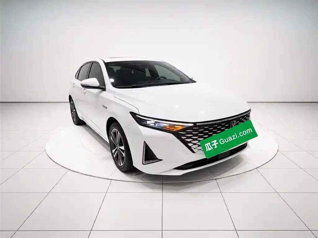 Changan Ruicheng PLUS 2024 из CN, фото 7