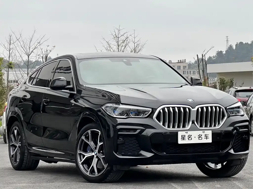 BMW X6 2024 из CN, фото 5