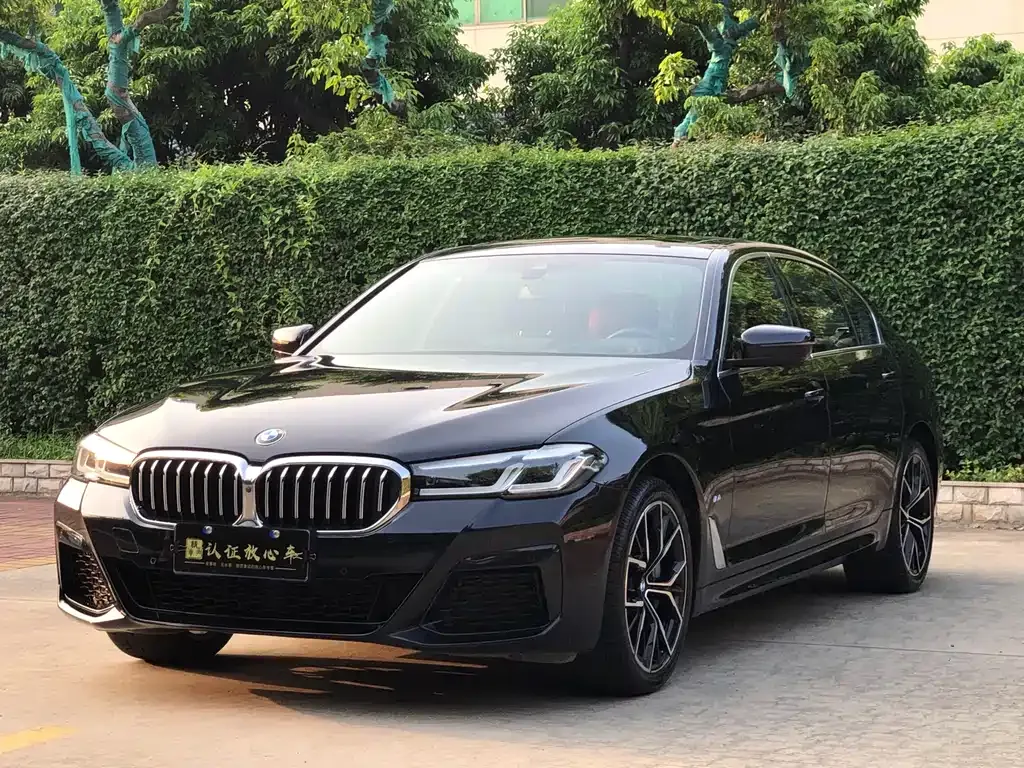 BMW 5 Series 2023 из CN, фото 1