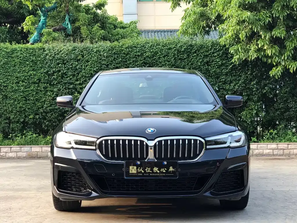 BMW 5 Series 2023 из CN, фото 9