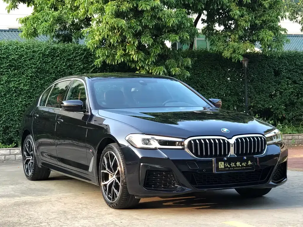 BMW 5 Series 2023 из CN, фото 5