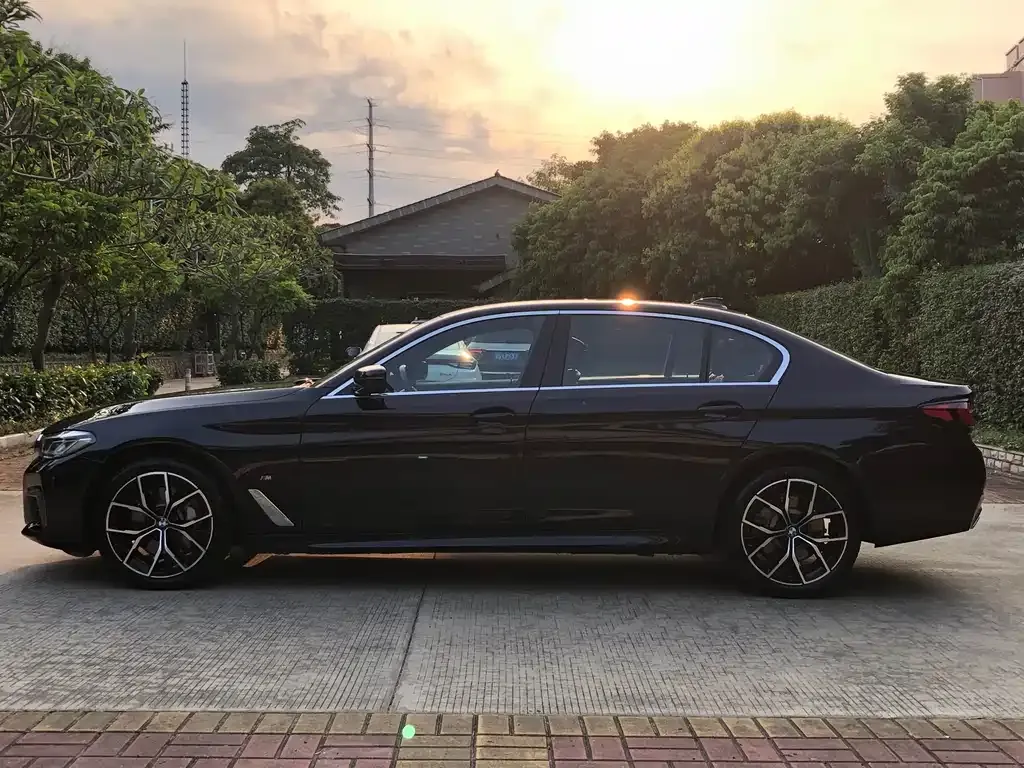 BMW 5 Series 2023 из CN, фото 7