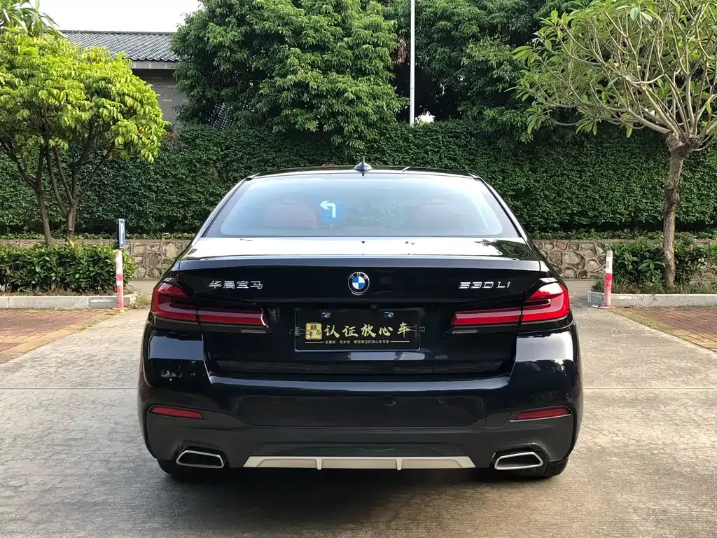 BMW 5 Series 2023 из CN, фото 4