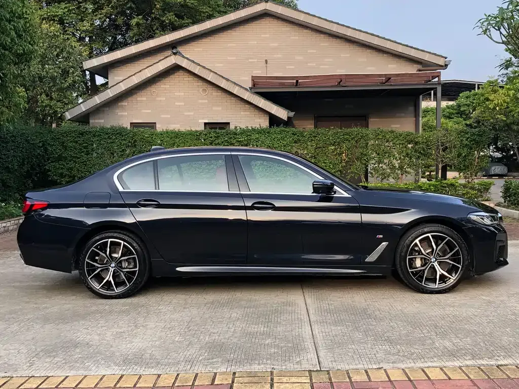 BMW 5 Series 2023 из CN, фото 8