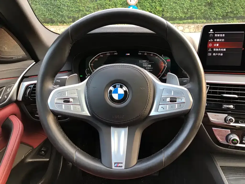 BMW 5 Series 2023 из CN, фото 3