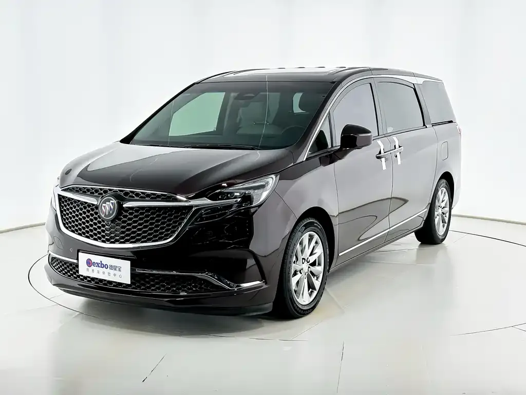 Buick GL8 2021 из CN, фото 4