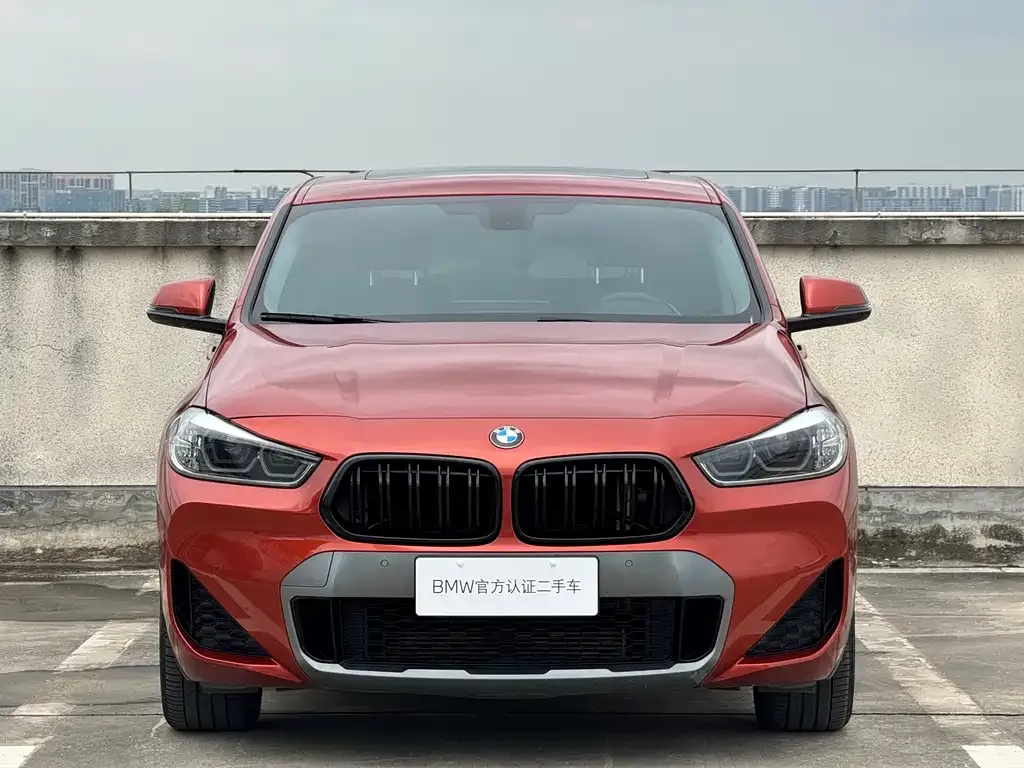 BMW X2 — фото 2