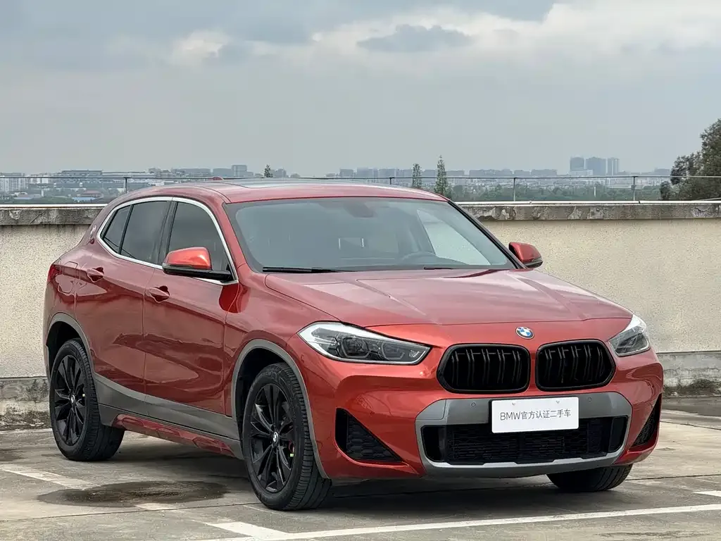 BMW X2 — фото 4