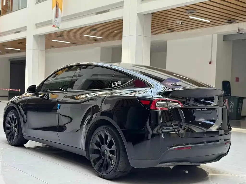 Tesla Model Y 2022 из CN, фото 6
