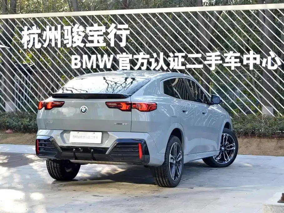 BMW X2 2024 из CN, фото 9
